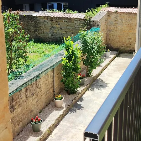 Cmg Xl 102 Petit Bois Place Ducale *